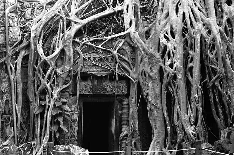 Descripción de Angkor Wat